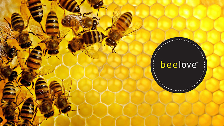 Bees on honey comb with beelove logo